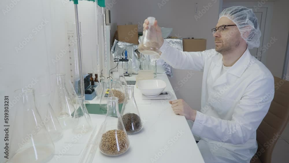 Worker Shakes Glass Flask Filled With Barley Grain For Beer Production. Quality Of Barley Grain In Flask Inspected By Professional Brewer. Malted Barley Grain. Checking Ale Ingredients In Flasks Worker Shakes Glass Flask Filled With Barley Grain For Beer Production. Quality Of Barley Grain In Flask Inspected By Professional Brewer. Malted Barley Grain. Checking Ale Ingredients In Flasks
