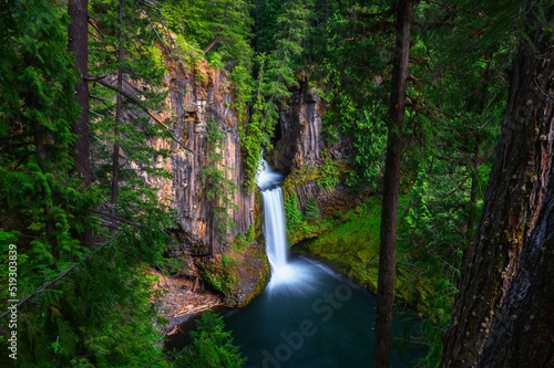 Slika na platnu Toketee Falls in Douglas County, Oregon