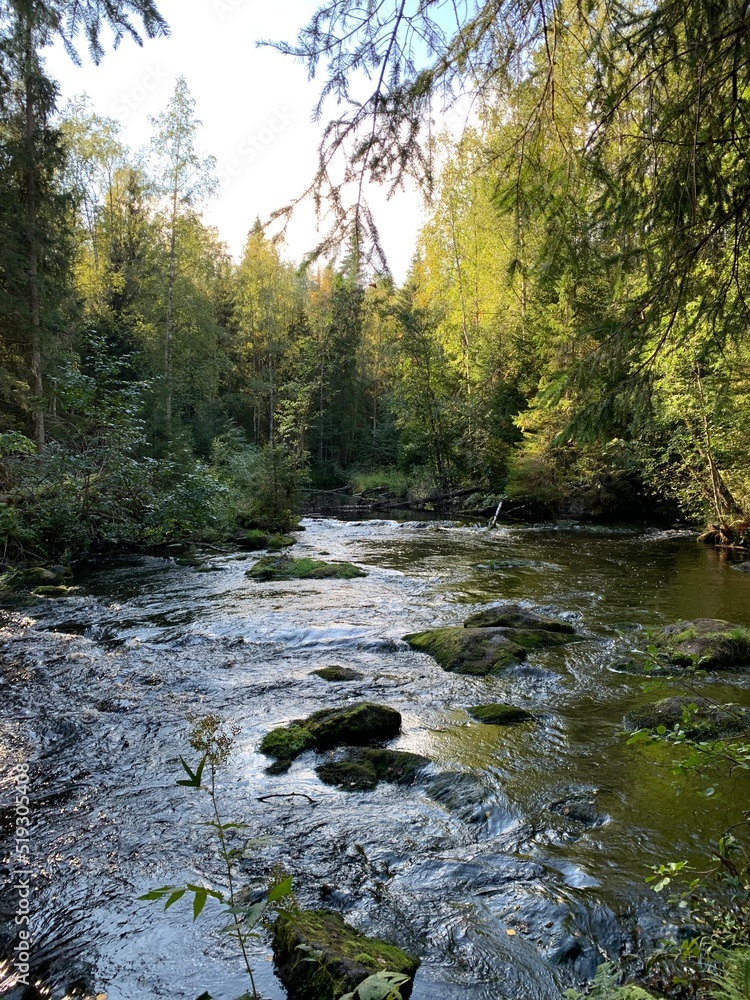 Mountain river among large stones and with forest banks Mountain river among large stones and with forest banks