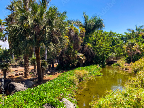 Botanical tropical city park of Puerto de la Cruz  Tenerife  Canary Islands  Spain