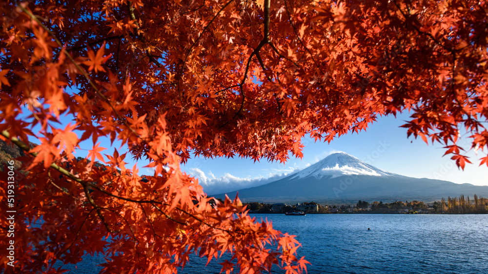 olorful Autumn Season and Mountain Fuji with morning fog and red leaves at lake Kawaguchiko