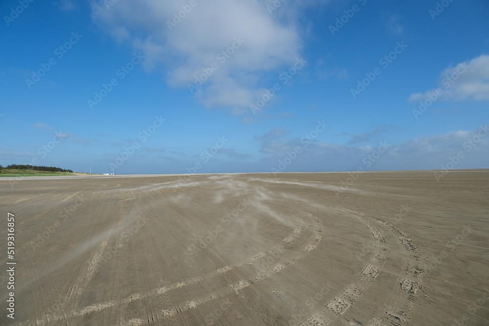 Naklejka premium Empty sandy beach on the north sea, windy weather