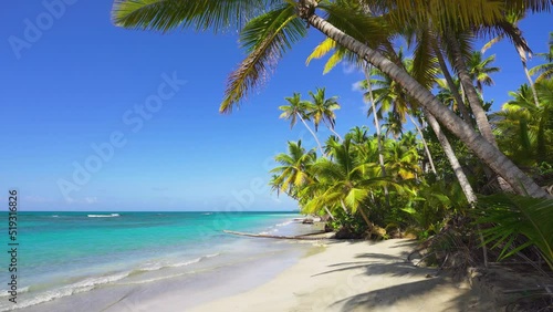 Wallpaper Mural Tall palm trees on a paradise beach in the Dominican Republic. Turquoise sea and white sand. Green palm trees against the blue sea. Travel to tropical paradise. Torontodigital.ca