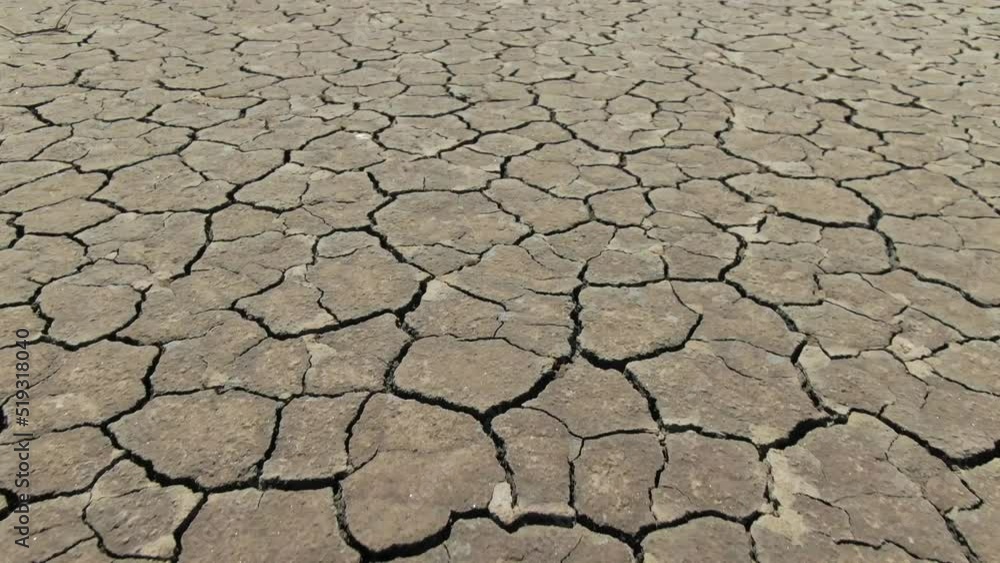Moving forward over cracked soil in Australian Casuarina island due to climate change and drought, increased temperatures, global warming Moving forward over cracked soil in Australian Casuarina island due to climate change and drought, increased temperatures, global warming