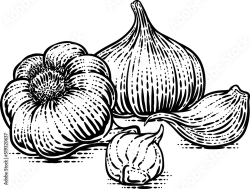 Garlic Vegetable Vintage Woodcut Illustration