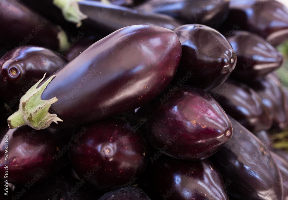 Fresh eggplant on market counter Fresh eggplant on market counter