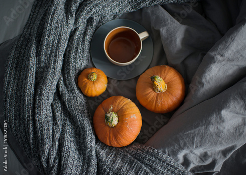 Pumpkins on a dark gray bed, top view