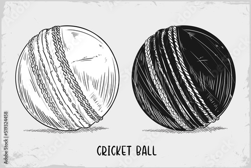 Hand drawn Cricket ball sketch isolated on white background, Detailed vintage etching drawing
