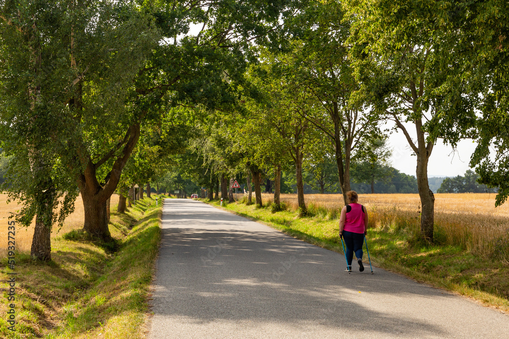 Woman walks on the road with scandinavian sticks. Nordic walking. Woman walks on the road with scandinavian sticks. Nordic walking.