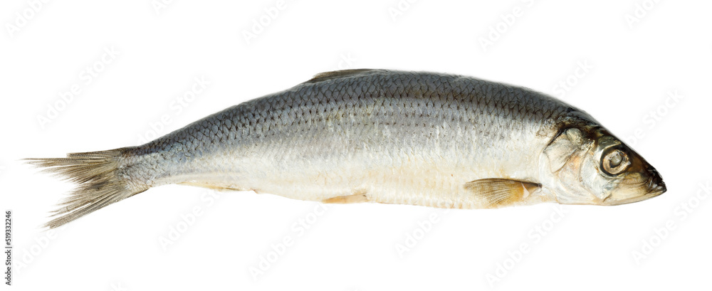 Salted herring on a white background, sea food. Salted herring on a white background, sea food.