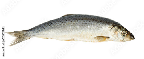 Salted herring on a white background, sea food.