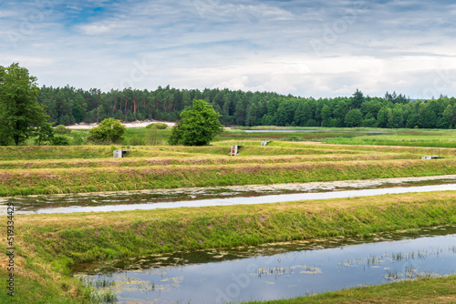 Echo ponds in the Roztocze National Park. View towards the dunes and the beach. Zwierzyniec, Poland