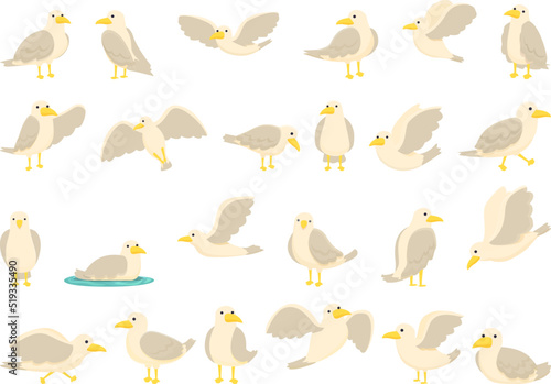 Seagull icons set cartoon vector. Seabird animal. Fly gull