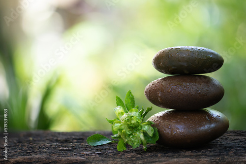 Zen stones and green rose or concourse rose on bokeh nature background.