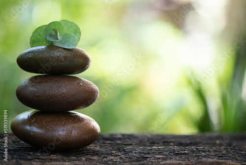 Zen stones and eucalyptus gunnii branch green leaves on nature background.