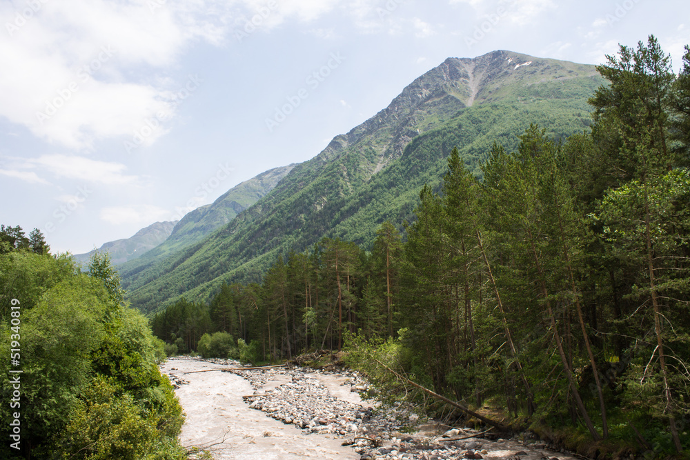 Pastoral landscape - the Terskol mountain river flows in the mountains between the slopes of high cliffs among bright green trees on a sunny summer day in the Elbrus region of Russia