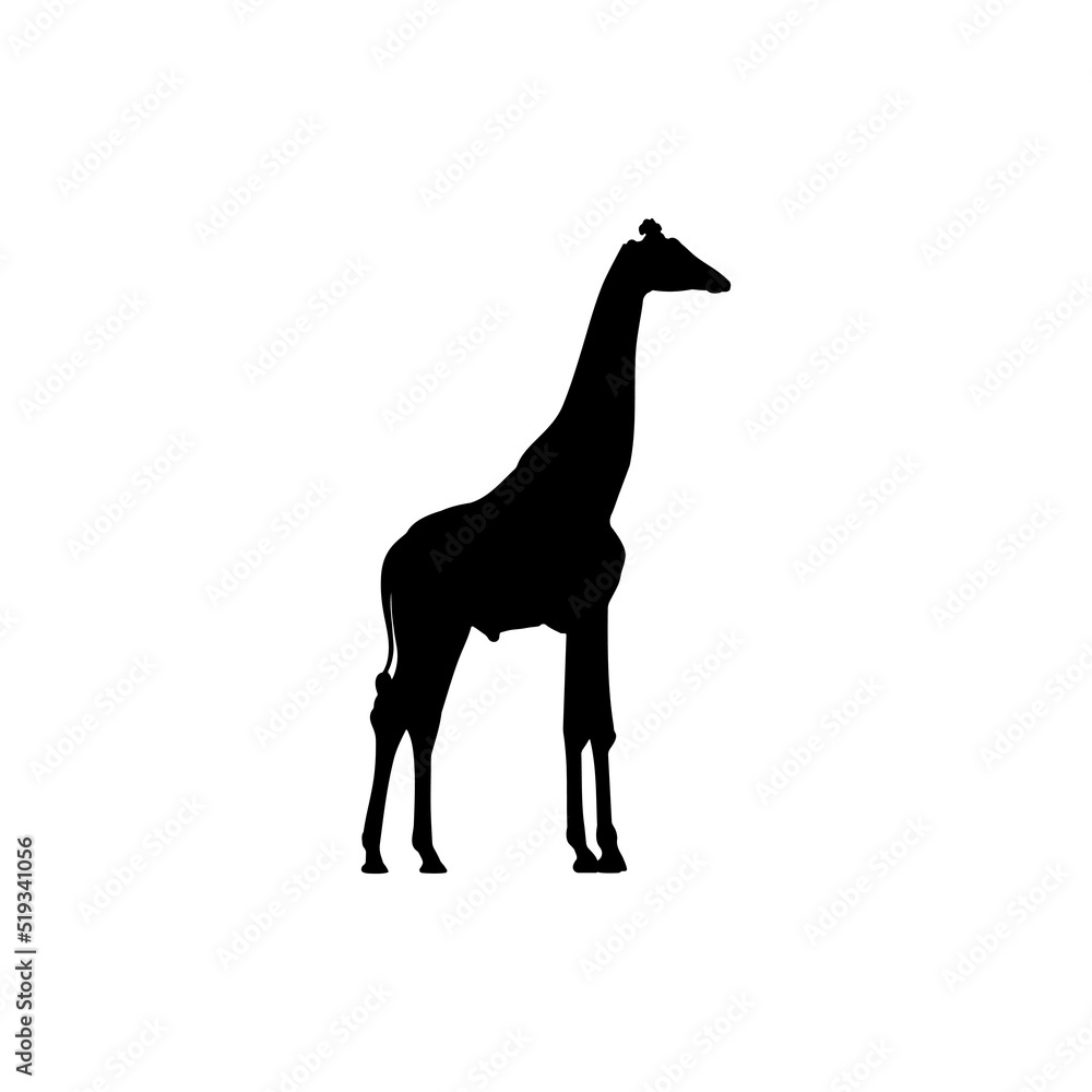 Giraffe Silhouette Vector For The Best Giraffe Icon Logo Illustration Giraffe Silhouette Vector For The Best Giraffe Icon Logo Illustration