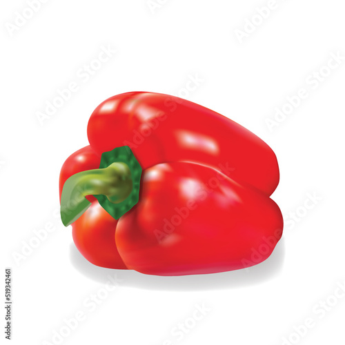 red bell pepper 3d realistic illustration