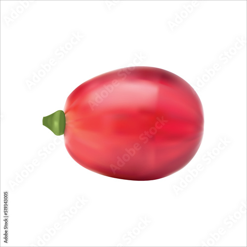 red grape 3d icon vector illustration