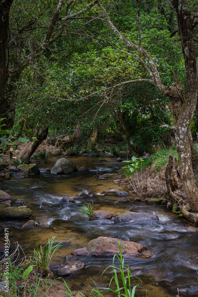 Fototapeta premium Beautiful brook from waterfalls clear and fresh water is falling down with rock and small green trees in the natural at Doi Inthanon Mountain at Chiang Mai, Thailand.