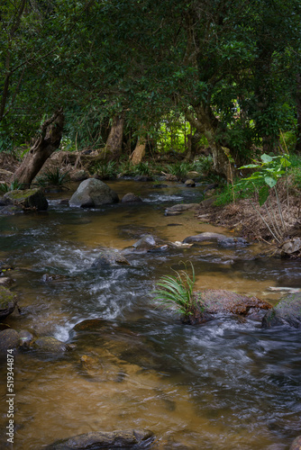 Beautiful brook from waterfalls clear and fresh water is falling down with rock and small green trees in the natural at Doi Inthanon Mountain at  Chiang Mai  Thailand.