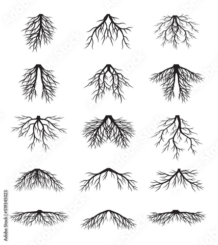 Set black Roots. Vector graphic.