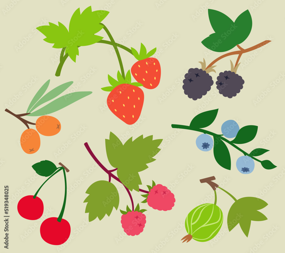 Collection of berries. Natural food in flat style. Collection of berries. Natural food in flat style.