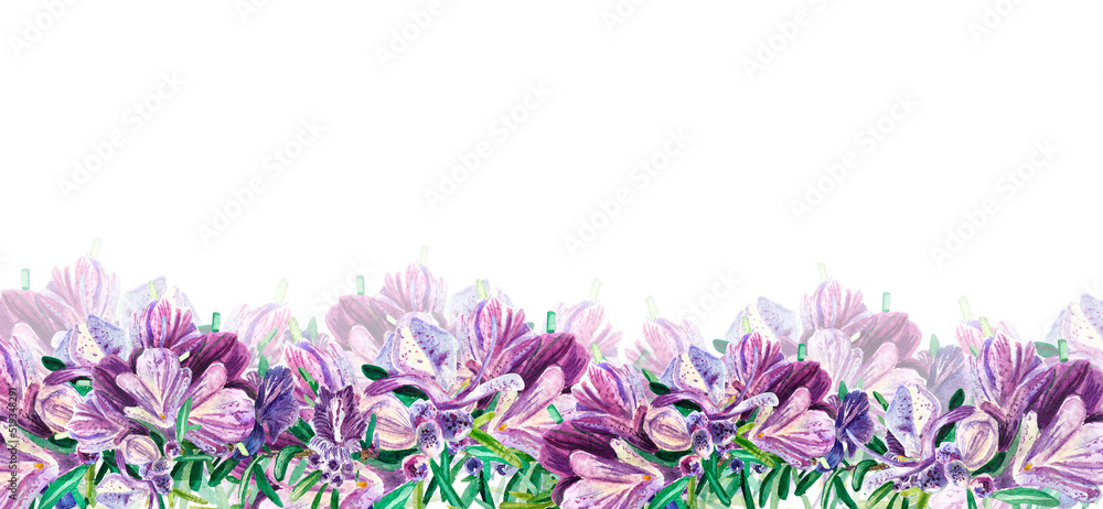 Naklejka premium Banner Rosemary with large purple flowers on a white background. Twig with flower. Watercolor illustration of spices for cooking. Botanical provencal herbs. Suitable for postcards, website, design.
