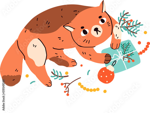 Photography Funny naughty cat with gifts and bauble