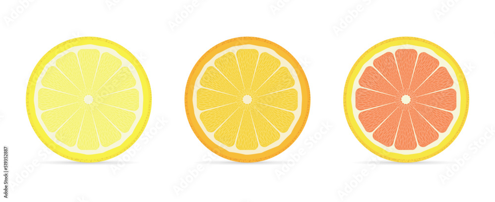 Round slices of citrus fruits. Lemon, orange, grapefruit. Vector illustration.