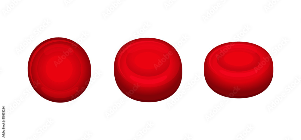 Red Blood Cells Set on White Background. Vector Red Blood Cells Set on White Background. Vector
