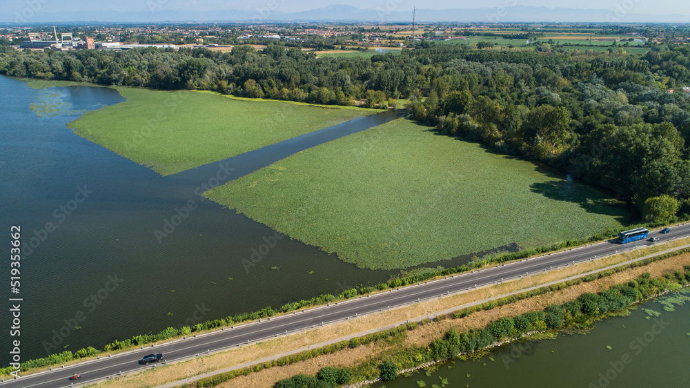 Fototapeta premium vista dall'alto isola della castagna di lago mantova