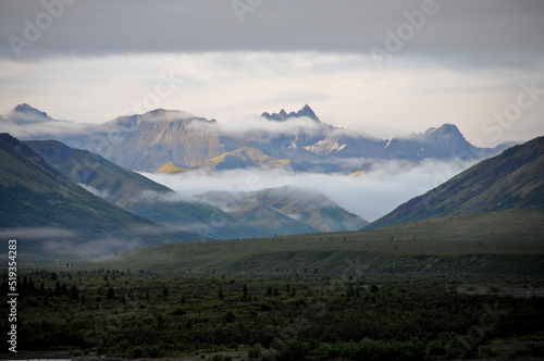 Denali National Park Mountains