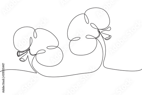 Kidneys Hand drawn icon continuous line drawing. Human organs Creative abstract art background Trendy concept One single line design. Outline simple image black and white color Vector