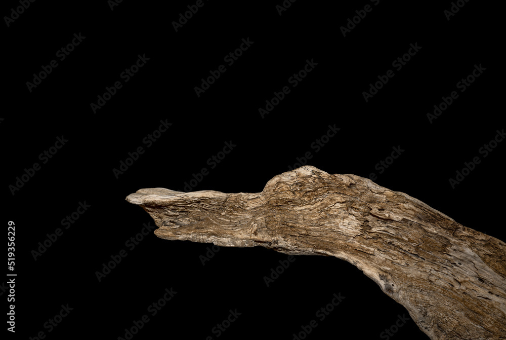 Fototapeta premium Driftwood carved by water in the shape of a bird