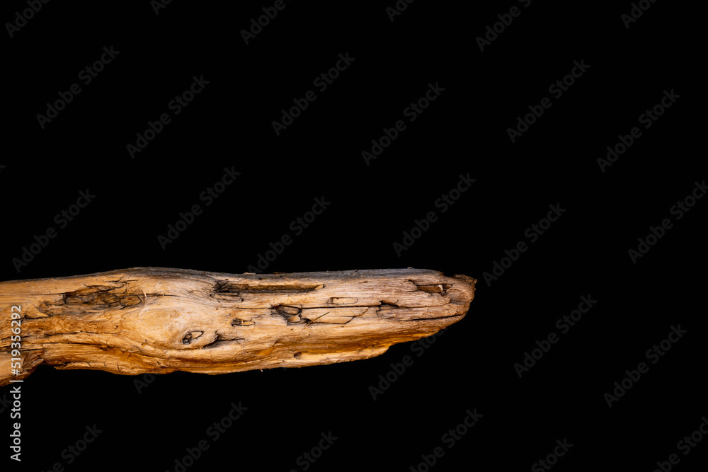 Obraz premium Driftwood carved by water in the shape of a reptile