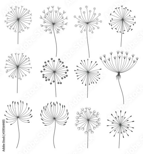 Dandelion flowers set in black linear style. Nature floral hand drawn stylized decorative blooming silhouettes of fluffy seeds flowers. Various of pencil sketched monochrome design elements