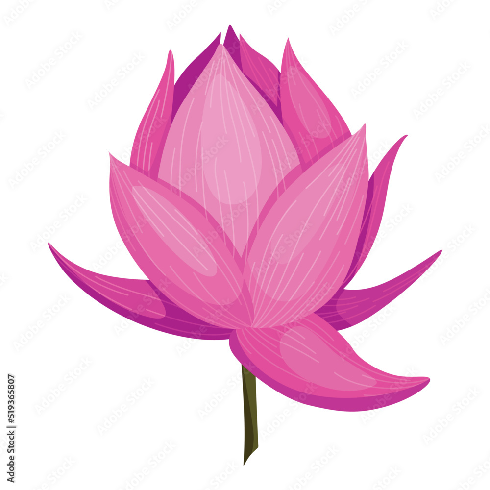 Lotus. Pink flower. Stem and leaves for advertising or invitation. Blossom, bud opening, an aquatic plant. 3D design. Isolated objects for design