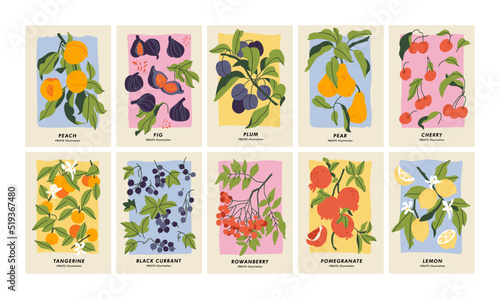 Vector illustration set of botanical posters with different fruits. Art for for postcards, wall art, banner, background.