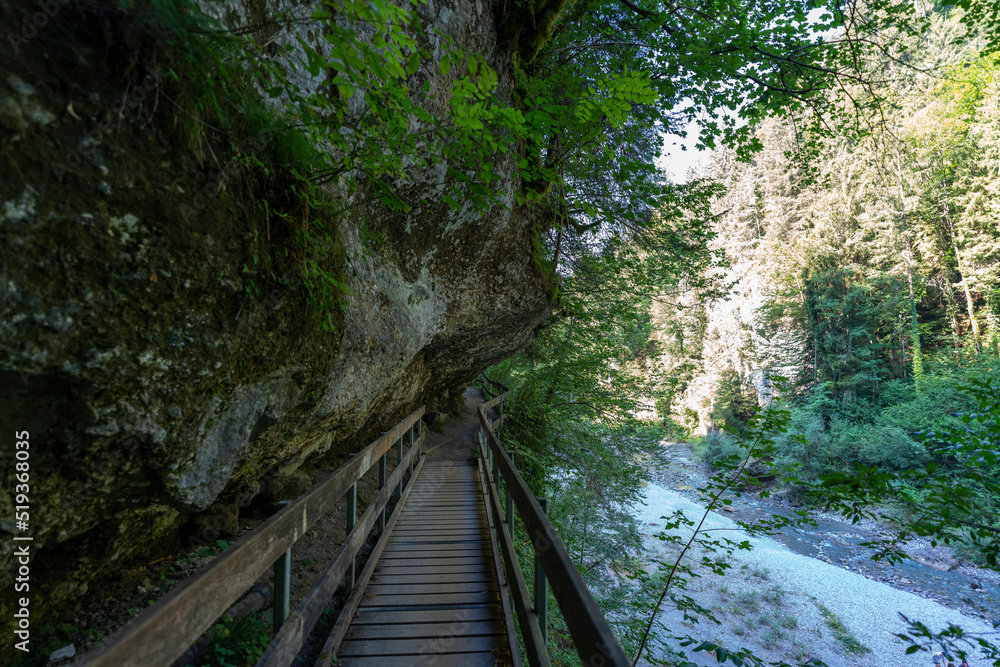 Fototapeta premium Weg durch den Wald, Fußweg zwischen Bäumen in einem Mischwald. Bäume stehen auf bewachsenen Felsen im Märchenland. wunderschöne Bürserschlucht mit zauberhaften Plätzen, lichtdurchflutet