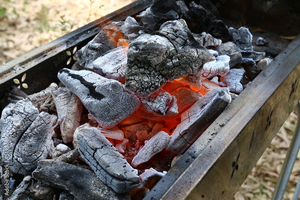 Coals are burning in a brazier in a forest clearing. Coals are burning in a brazier in a forest clearing.