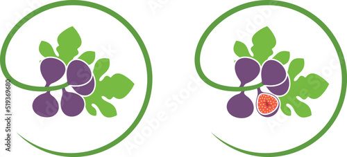 Fig logo. Isolated fig on white background