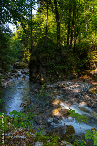 Wie im Urwald  der Bach Alvier schl  ngelt sich durch das enge Tal zwischen Steinen und Felsbl  cken hindurch  an steilen Abh  ngen mit Geb  sch und B  umen bewachsen. Die Sonne beleuchtet die Vegetation