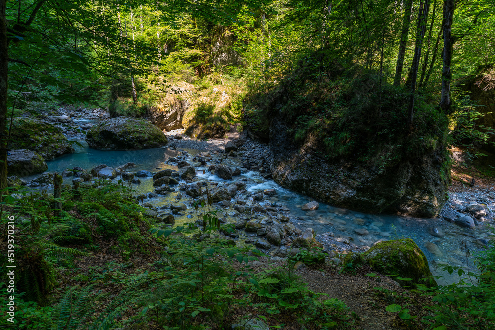 Wie im Urwald: der Bach Alvier schlängelt sich durch das enge Tal zwischen Steinen und Felsblöcken hindurch, an steilen Abhängen mit Gebüsch und Bäumen bewachsen. Die Sonne beleuchtet die Vegetation