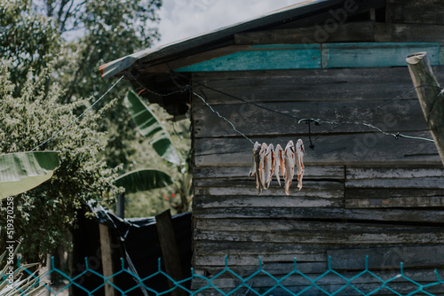 Pescado seco