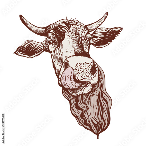 Drawing of a cow's head, emblem, label for dairy products, packaging of milk, sour cream, kefir and various sausages