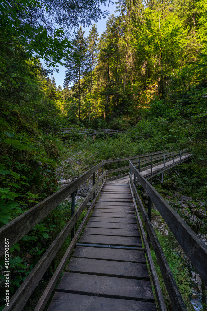 Holzweg mit Brücke, dunkler Waldweg zwischen Birken, Eichen, Ahorn und Fichten, gesäumt von verschiedenen Waldblumen und Sträuchern. Sonnenstrahlen brechen durch das Blätterdach ins Tal Holzweg mit Brücke, dunkler Waldweg zwischen Birken, Eichen, Ahorn und Fichten, gesäumt von verschiedenen Waldblumen und Sträuchern. Sonnenstrahlen brechen durch das Blätterdach ins Tal
