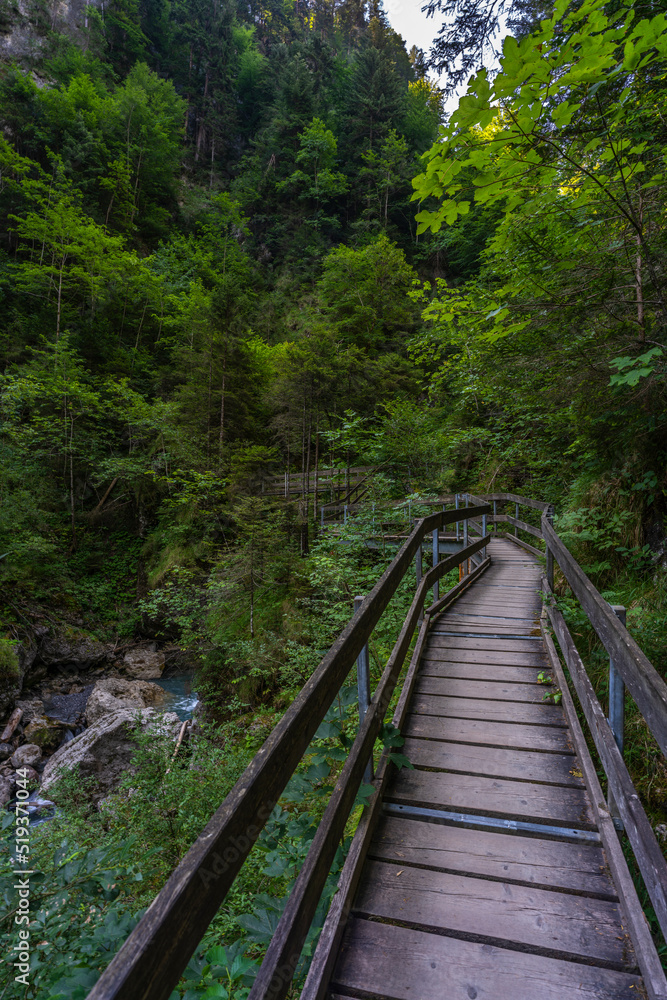 Holzweg mit Brücke, dunkler Waldweg zwischen Birken, Eichen, Ahorn und Fichten, gesäumt von verschiedenen Waldblumen und Sträuchern. Sonnenstrahlen brechen durch das Blätterdach ins Tal Holzweg mit Brücke, dunkler Waldweg zwischen Birken, Eichen, Ahorn und Fichten, gesäumt von verschiedenen Waldblumen und Sträuchern. Sonnenstrahlen brechen durch das Blätterdach ins Tal