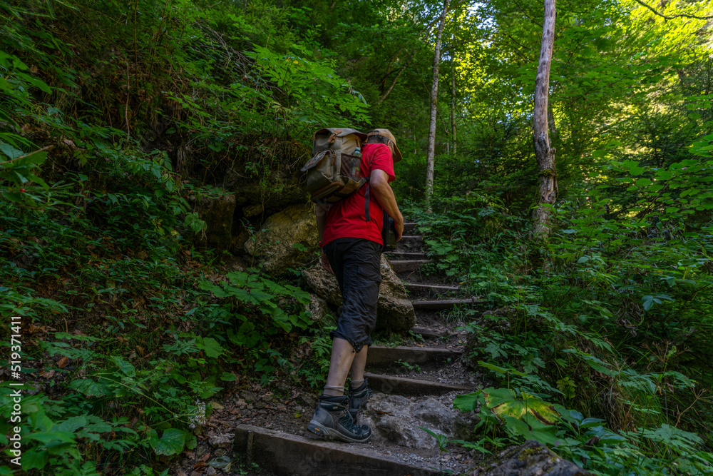 Wanderer auf dem Weg durch die Bürser Schlucht, Mann auf dem schmalen Wanderweg über Treppen und Stufen durch die bewaldete Schlucht bei Bürs, Vorarlberg, Österreich Wanderer auf dem Weg durch die Bürser Schlucht, Mann auf dem schmalen Wanderweg über Treppen und Stufen durch die bewaldete Schlucht bei Bürs, Vorarlberg, Österreich