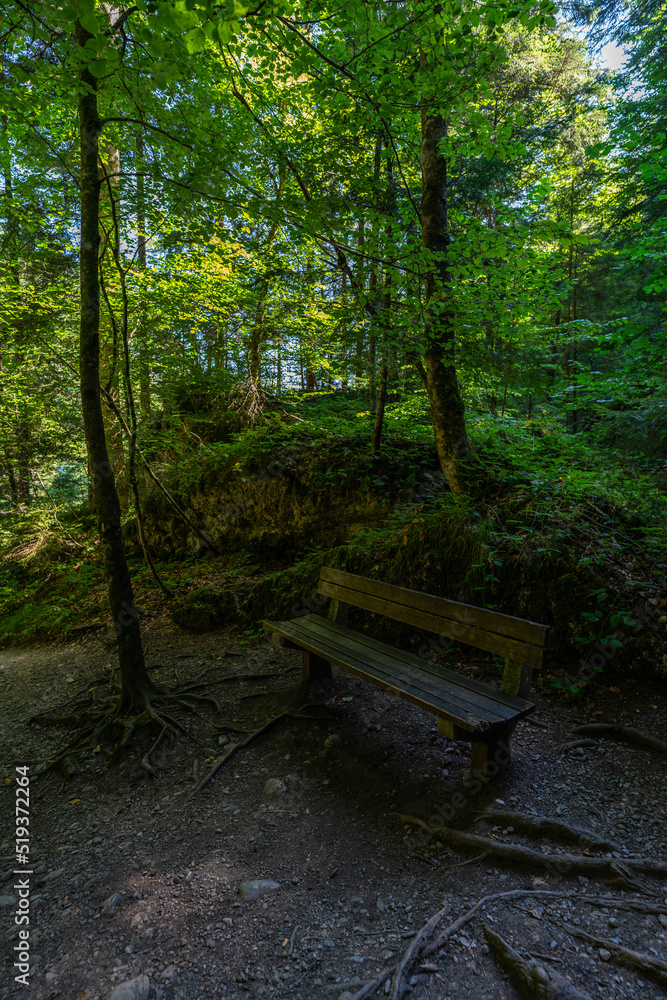 Bank für eine Pause auf der Wanderung durch die Bürserschlucht. im Schatten der tiefen Schlucht und den vielen Bäumen und Büschen steht eine Holzbank und lädt zur Erholung ein. Bank für eine Pause auf der Wanderung durch die Bürserschlucht. im Schatten der tiefen Schlucht und den vielen Bäumen und Büschen steht eine Holzbank und lädt zur Erholung ein.